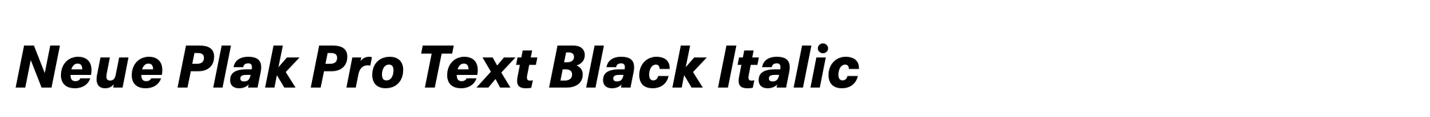 Neue Plak Pro Text Black Italic image